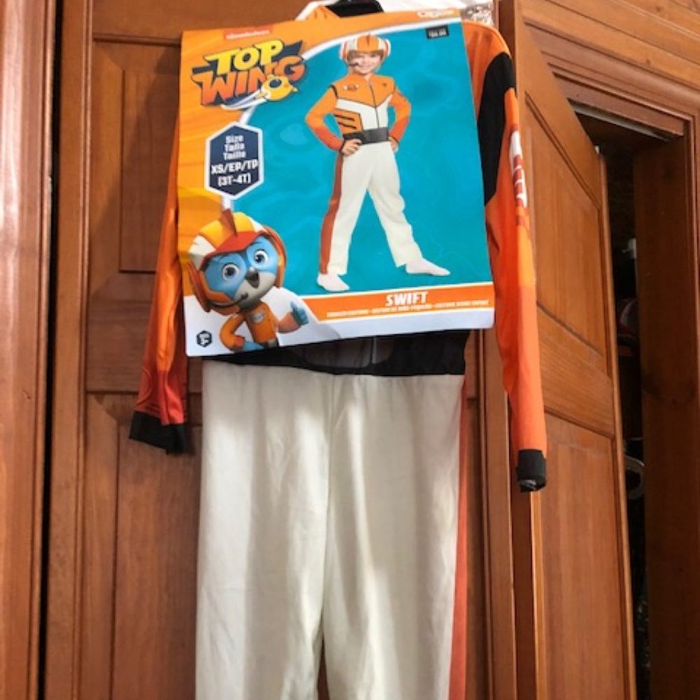 Swift Halloween Costume